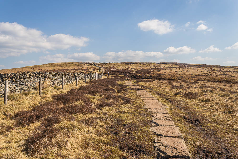 Brown Knoll